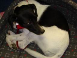 Resize of DSC00904.JPG